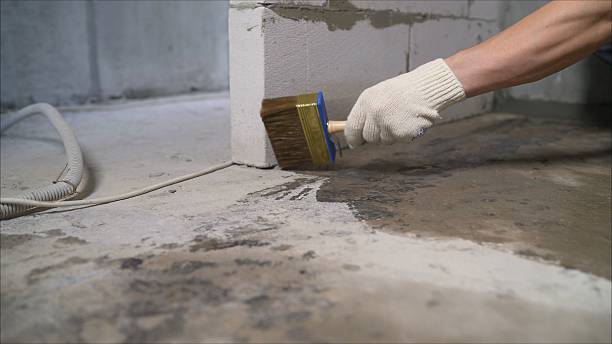 SJ Waterproofing Pros Basement Waterproofing coverage map for Algonquin, IL and surrounding area